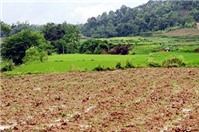 Chuyển đất lúa sang đất sản xuất kinh doanh phải thuê đất?