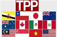 Hội nhập TPP, phải tuân thủ nghiêm ngặt hơn về sở hữu trí tuệ