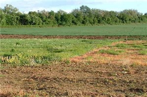 Quy định về chuyển mục đích sử dụng đất nông nghiệp
