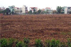 Trường hợp thu hồi đất không được bồi thường về đất, tài sản gắn liền với đất