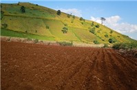 Tư vấn về thời hạn sử dụng đất nông nghiệp khi nhận chuyển quyền sử dụng đất