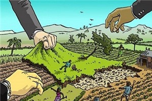 Mượn đất công ty, Nhà nước thu hồi đất có được đền bù?