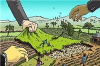 Thu hồi đất được nhà nước cho thuê nhưng miễn tiền thuê đất có được bồi thường?