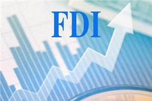 FDI có thể tạo ra bất bình đẳng thu nhập không?